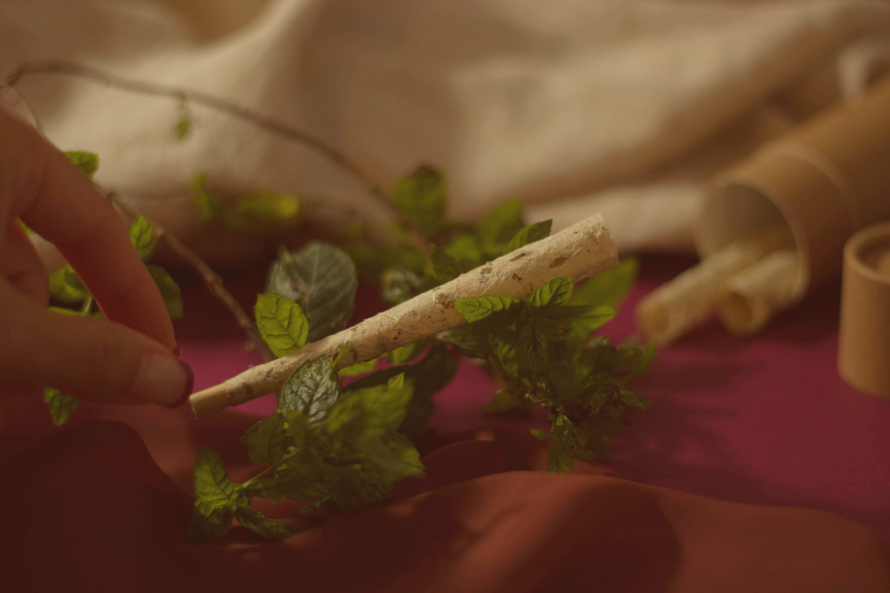 La Limpieza - Yerba Buena Cones 3-Pack