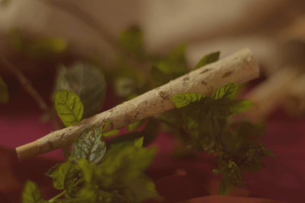 La Limpieza - Yerba Buena Cones 3-Pack